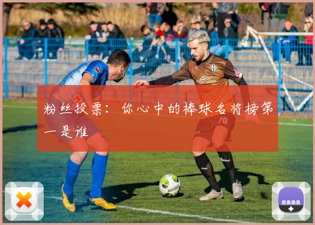 粉丝投票:你心中的棒球名将榜第一是谁